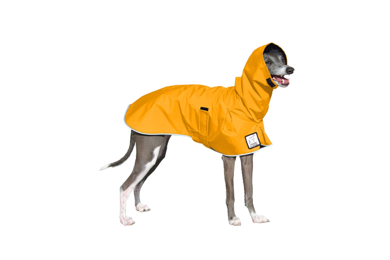 Greyhound raincoat with hood best sale