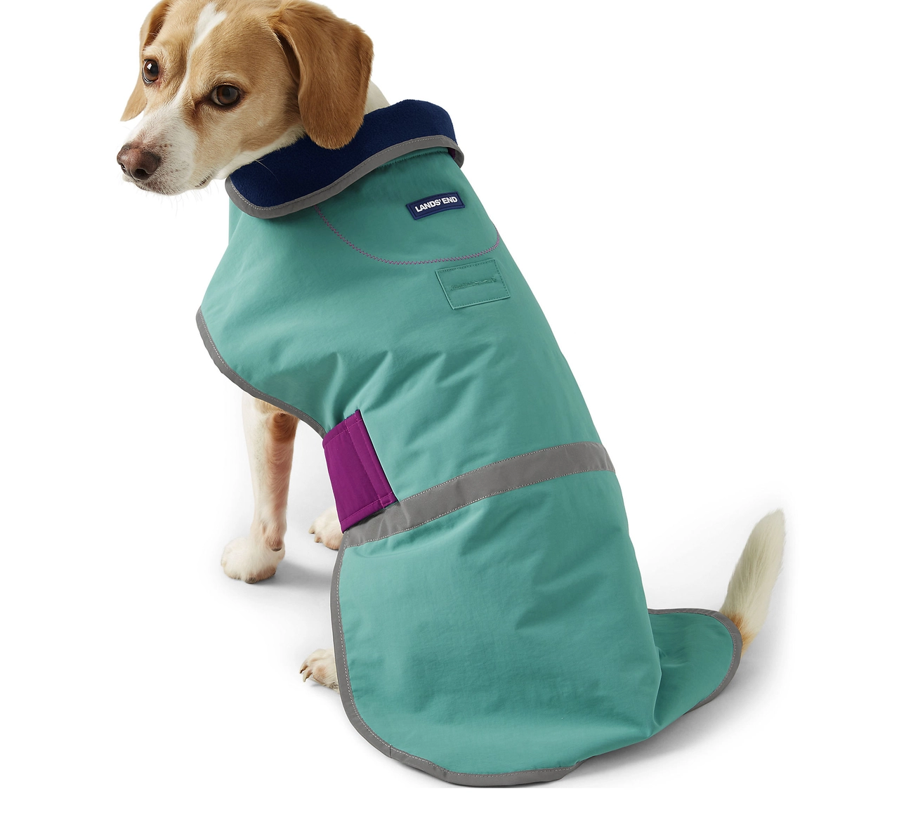 The 15 Best Raincoats for Dogs Buy Side from WSJ