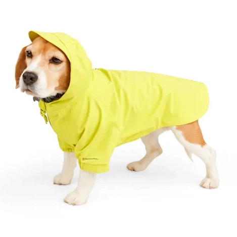 Best raincoat for golden retriever best sale